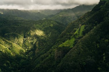 Hawaii 'deki Kauai adasının batı tarafındaki Pasifik' in Waimea Kanyonu Büyük Kanyonu 'nun havadan görünüşü. Yüksek kalite fotoğraf