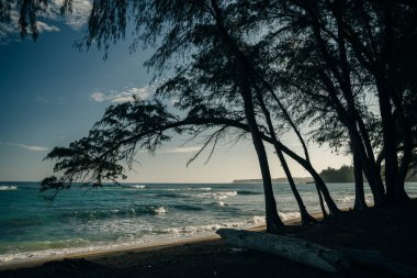 Tropical exotic beach in Haena, Kauai Island, Hawaii. High quality photo clipart