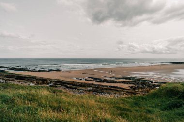 Kum tepelerinden Cocklawburn Sahili. Northumberland Sahili 'nde, Olağanüstü Doğal Güzellik Bölgesi' nin kırsal bir plajı. Yüksek kalite fotoğraf