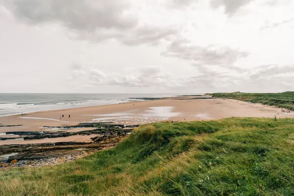 Kum tepelerinden Cocklawburn Sahili. Northumberland Sahili 'nde, Olağanüstü Doğal Güzellik Bölgesi' nin kırsal bir plajı. Yüksek kalite fotoğraf