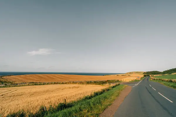 Scenic country road in England. High quality photo