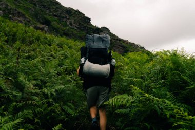 Hendaye yakınlarında bir gezgin, İspanya 'da Pireneler. Yüksek kalite fotoğraf