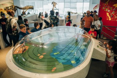 DRUMHELLER, ALBERTA - 12 Mayıs 2022 - Royal Tyrrell Müzesi 'ndeki çocuklar. Yüksek kalite fotoğraf