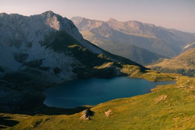Pireneler Ulusal Parkı, Pireneler Atlantik, Fransa 'nın otlaklarında koyun sürüsü. Yüksek kalite fotoğraf