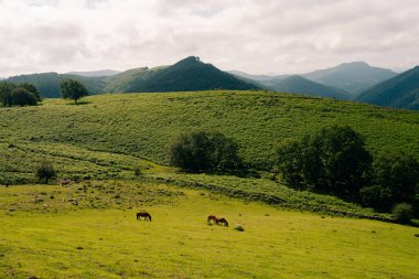 Fransa 'nın Bask Bölgesi' ndeki Pireneler Dağları 'ndaki kırsal bölge. Yüksek kalite fotoğraf