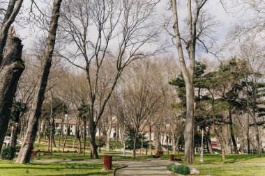 İSTANBUL, TURKEY 2023 Ağustos 03: İstanbul 'daki ünlü Topkapı Sarayı' nın güzel bahçesi. Yüksek kalite fotoğraf