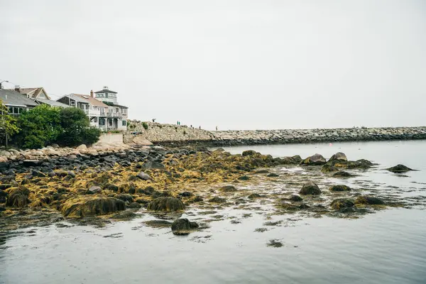 stock image Rockport, Massachusetts, USA - August 2022. small fishing village on Cape Ann, New England. High quality photo