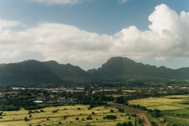 Hawaii, Kauai 'nin doğasında güzel bir yol. Yüksek kalite fotoğraf