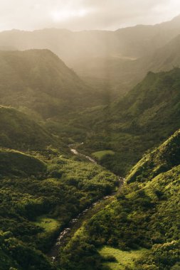 Waimea Canyon Eyalet Parkı 'nın havadan görünüşü, Kauai County, Hawaii, ABD. Yüksek kalite fotoğraf