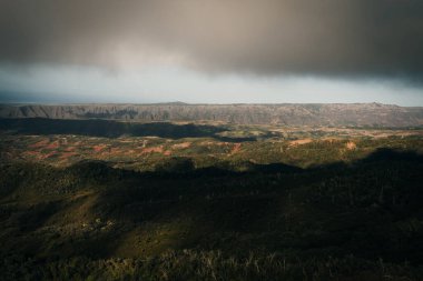 Muhteşem ormanların göz kamaştırıcı hava manzarası, Kauai, Hawaii. Yüksek kalite fotoğraf