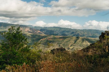 Waimea Canyon Eyalet Parkı 'nın havadan görünüşü, Kauai County, Hawaii, ABD. Yüksek kalite fotoğraf