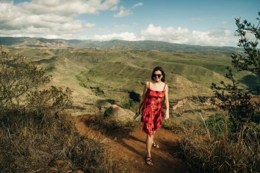 Waimea Canyon Eyalet Parkı 'nın havadan görünüşü, Kauai County, Hawaii, ABD. Yüksek kalite fotoğraf