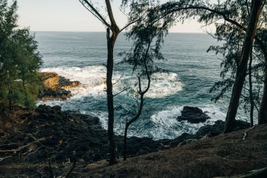 Hawaii, Kauai 'deki waikoko plajı. Yüksek kalite fotoğraf