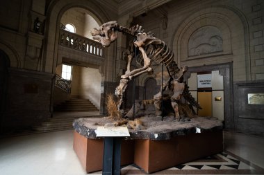 BUENOS AIRES, 9 Mart 2023 Doğa Bilimleri Müzesi 'nde sergiler. Yüksek kalite fotoğraf