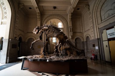BUENOS AIRES, 9 Mart 2023 Doğa Bilimleri Müzesi 'nde sergiler. Yüksek kalite fotoğraf