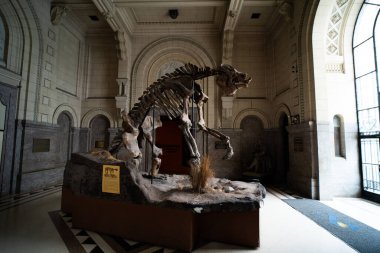 BUENOS AIRES, 9 Mart 2023 Doğa Bilimleri Müzesi 'nde sergiler. Yüksek kalite fotoğraf