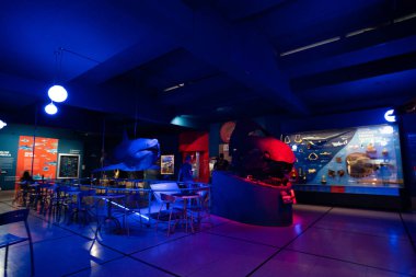 BUENOS AIRES, 9 Mart 2023 Doğa Bilimleri Müzesi 'nde sergiler. Yüksek kalite fotoğraf