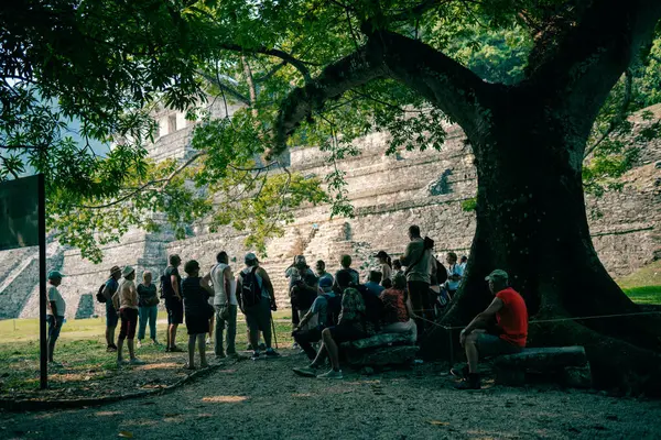 Palenque, Chiapas, Meksika 'daki Maya harabeleri. Yüksek kalite fotoğraf