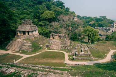 Palenque, Chiapas, Meksika 'daki Maya harabeleri. Yüksek kalite fotoğraf