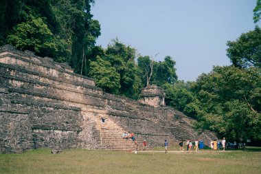 Palenque, Chiapas, Meksika 'daki Maya harabeleri. Yüksek kalite fotoğraf