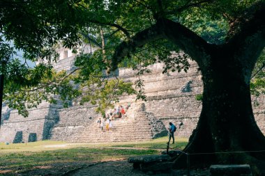 Palenque, Chiapas, Meksika 'daki Maya harabeleri. Yüksek kalite fotoğraf