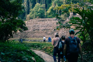 Palenque, Chiapas, Meksika 'daki Maya harabeleri. Yüksek kalite fotoğraf