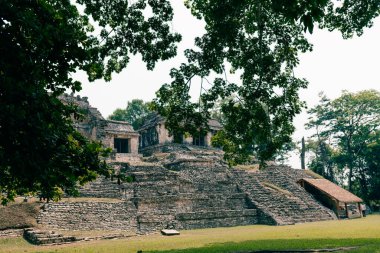 Palenque, Chiapas, Meksika 'daki Maya harabeleri. Yüksek kalite fotoğraf