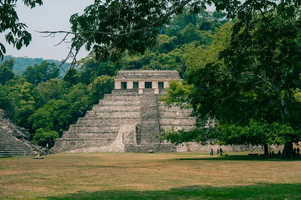 Palenque, Chiapas, Meksika 'daki Maya harabeleri. Yüksek kalite fotoğraf