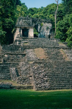 Palenque, Chiapas, Meksika 'daki Maya harabeleri. Yüksek kalite fotoğraf
