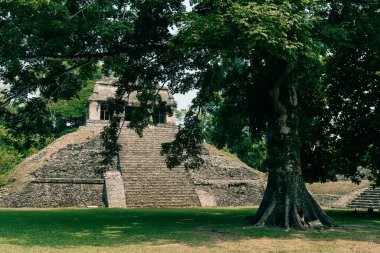 Palenque, Chiapas, Meksika 'daki Maya harabeleri. Yüksek kalite fotoğraf