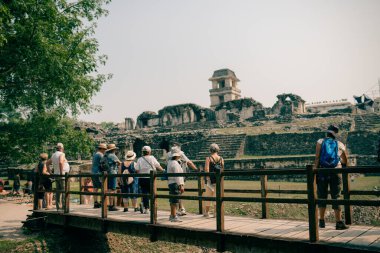 Palenque, Chiapas, Meksika 'daki Maya harabeleri. Yüksek kalite fotoğraf