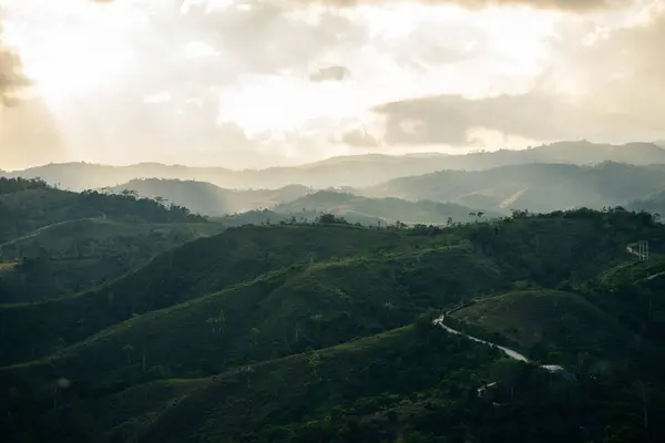 coffee area landscape in colombia. High quality photo