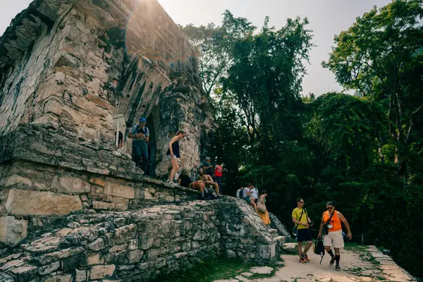 Palenque, Chiapas, Meksika 'daki Maya harabeleri. Yüksek kalite fotoğraf