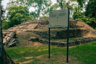 Palenque, Chiapas, Meksika 'daki Maya harabeleri. Yüksek kalite fotoğraf