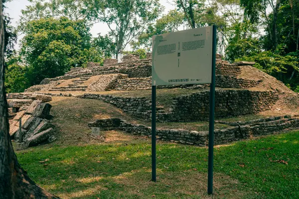 Palenque, Chiapas, Meksika 'daki Maya harabeleri. Yüksek kalite fotoğraf
