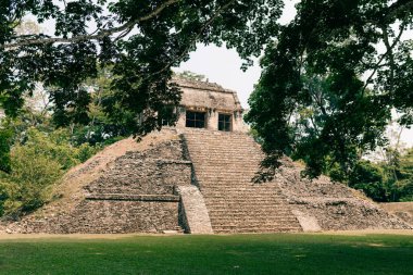 Palenque, Chiapas, Meksika 'daki Maya harabeleri. Yüksek kalite fotoğraf