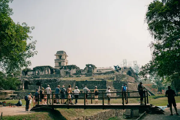 Palenque, Chiapas, Meksika 'daki Maya harabeleri. Yüksek kalite fotoğraf