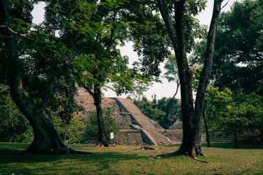 Palenque, Chiapas, Meksika 'daki Maya harabeleri. Yüksek kalite fotoğraf
