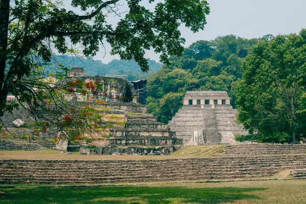 Palenque, Chiapas, Meksika 'daki Maya harabeleri. Yüksek kalite fotoğraf