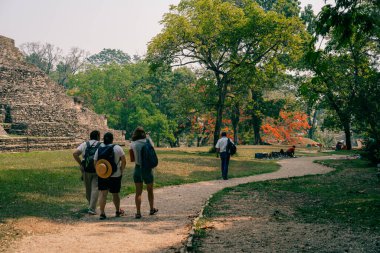 Palenque, Chiapas, Meksika 'daki Maya harabeleri. Yüksek kalite fotoğraf
