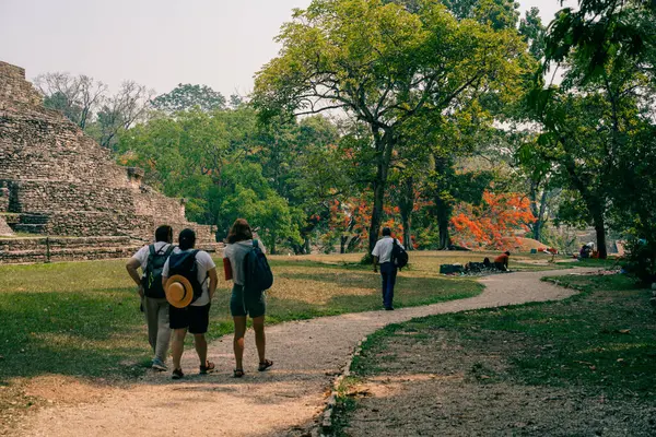 Palenque, Chiapas, Meksika 'daki Maya harabeleri. Yüksek kalite fotoğraf