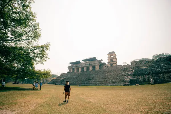 Palenque, Chiapas, Meksika 'daki Maya harabeleri. Yüksek kalite fotoğraf