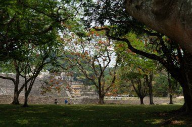 Palenque, Chiapas, Meksika 'daki Maya harabeleri. Yüksek kalite fotoğraf