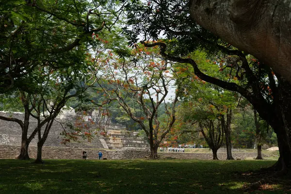 Palenque, Chiapas, Meksika 'daki Maya harabeleri. Yüksek kalite fotoğraf
