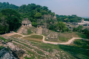 Palenque, Chiapas, Meksika 'daki Maya harabeleri. Yüksek kalite fotoğraf