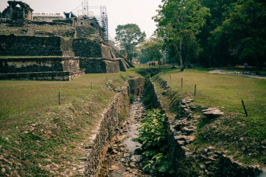 Palenque, Chiapas, Meksika 'daki Maya harabeleri. Yüksek kalite fotoğraf