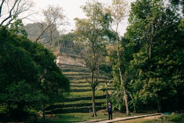 Palenque, Chiapas, Meksika 'daki Maya harabeleri. Yüksek kalite fotoğraf