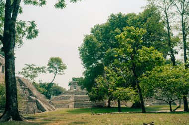 Palenque, Chiapas, Meksika 'daki Maya harabeleri. Yüksek kalite fotoğraf