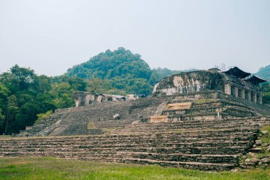 Palenque, Chiapas, Meksika 'daki Maya harabeleri. Yüksek kalite fotoğraf
