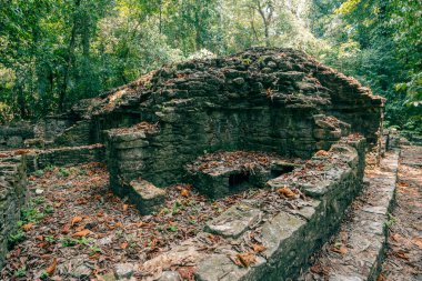 Palenque, Chiapas, Meksika 'daki Maya harabeleri. Yüksek kalite fotoğraf